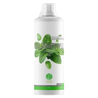 Nature Foods Liquid Chlorophyll 500мл — купить в Хабаровске, спортивное питание 5LB