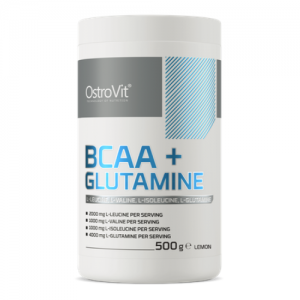 Аминокислота Ostrovit Glutamine 500г